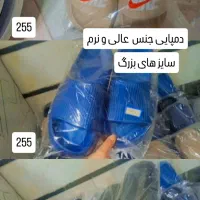 بلورر|ظروف سرو و پذیرایی|تالش, هشتپر|دیوار