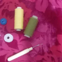 بانوان هنردوست  وهنرمند