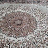 اولی شیری دومی گردویی