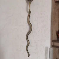 شمعدان|کلکسیون اشیاء عتیقه|صدرا-فارس, فاز ۲|دیوار