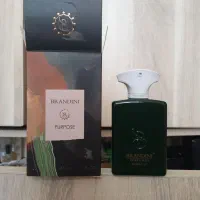 امواج پرپس برندینی