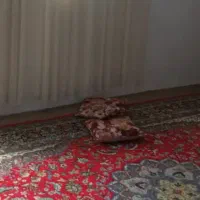 فرش  ۱۲ متری  لاکی قرمز سالم  طرح قدیم