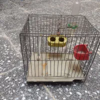 وسایل پرنده|لوازم جانبی حیوانات|نسیم‌شهر, |دیوار