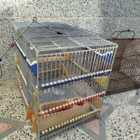 قفس|لوازم جانبی حیوانات|شیراز, کوشک میدان|دیوار