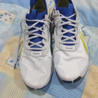 کتونی اورجینال سایز بزرگ|کیف، کفش، کمربند|بندر انزلی, پردیس|دیوار