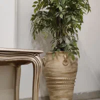 گل بنجامین تنه طبیعی باگلدان