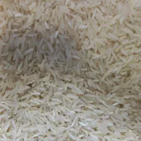 برنج ترکمن صحرا گلستان