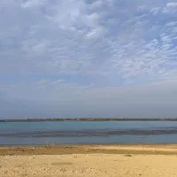فروش-فوری-زمین-با-قیمت-استثنایی