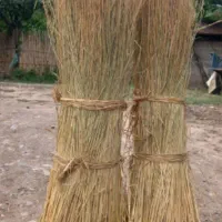 کلوش