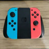 جوی کان و گریپ نینتندو سوییچ