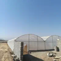 فروش یک واحد گلخانه نیمه صنعتی|فروش زمین و ملک کلنگی|دورود, |دیوار