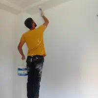 خدمات نظافتی تاجیک نظافت و سم پاشی و نقاشی|خدمات نظافت|قرچک, مجتمع مسکونی طبیعت|دیوار