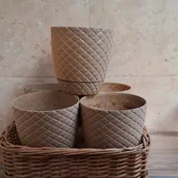 گلدان|گل و گیاه طبیعی|تهران, امام زاده عبدالله|دیوار