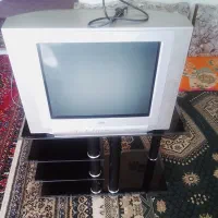 تلویزیون
