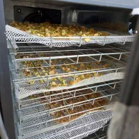 دستگاه خشک کن میوه و سبزی نیم صنعتی|سایر لوازم برقی|کرمان, |دیوار