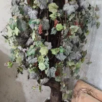 درختچه