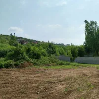زمین سیصد متری کنار جاده اصلی شیردارکلا به شیرگاه|فروش زمین و ملک کلنگی|شیرگاه, |دیوار
