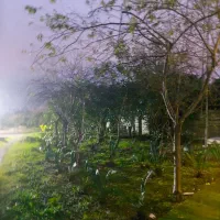 ۹۷۰متر زمین با جواز ۷ طبقه