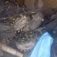 وسایل کشاورزی برای اطلاعات بیشتر تماس بگیرید