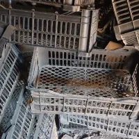 فروش|ظروف نگهدارنده، پلاستیکی، یکبارمصرف|بجستان, |دیوار