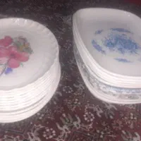 ۲۷ عدد دیس ملامین کاملا سالم و نوع