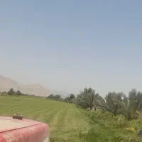 اجاره زمین کشاورزی