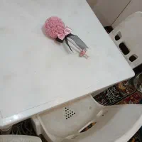 میز صندلی پلاستیکی