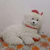 عروسک گربه بزرگ فقط 250 تومن