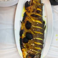 جذب پرسنل سالنکار