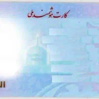 گمشده به نام خرمائی