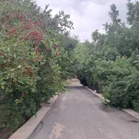 اجاره روزانه باغ ویلای سر سبز کرشت کد ۶