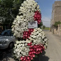 بازار گل امام‌ رضا گل نمایشگاه