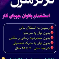 فرصت استثنایی برای بانوان|استخدام بازاریابی و فروش|تهران, تهرانسر مرکزی|دیوار