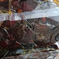 خرما|عمده‌فروشی|پیرانشهر, |دیوار