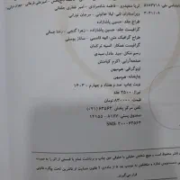 کتاب های کنکور تجربی|کتاب و مجله آموزشی|کوه چنار, |دیوار