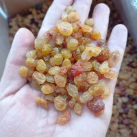 کشمش پلویی افتابی و طلایی و گلدن|خوردنی و آشامیدنی|اصفهان, زهران|دیوار