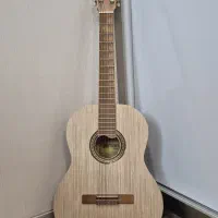 گیتار پرشین مدل 001 به همراه سافت کیس یاماها