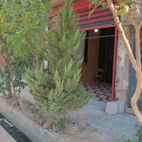 مغازه ۲۰ متری|اجارهٔ مغازه و غرفه|شیراز, کفترک|دیوار