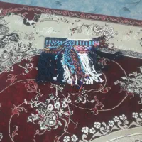 یک عدد جل و ورسینه و کوهان به فروش می رسد|لوازم جانبی حیوانات|آبدانان, |دیوار