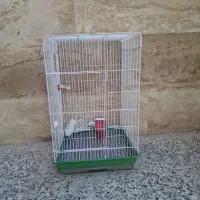 خریدار واقعی|عمدهفروشی|شیراز, تلخ داش|دیوار