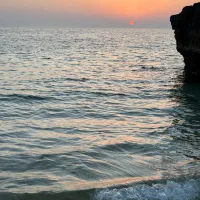 آموزش تخصصی شنا