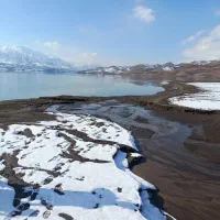 دور همی دوستانه