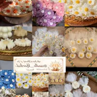 شمع های زیبا (اشانتیون و ارسال رایگان)