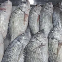 ابزیان جنوب بندرعباس