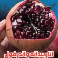 استخدام چند نفر خانم