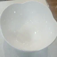ظروف چینی سفید