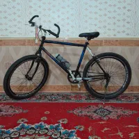 دوچرخه آساک دماوند تک سرعت