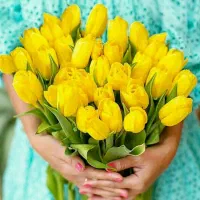 آرایشگر سیار