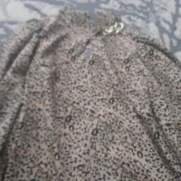 بلوز. مجلسی