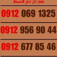 09129569044